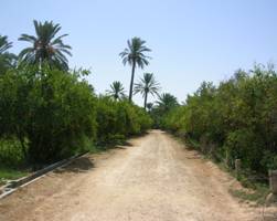 L'OASIS DE ZARAT:: MON VILLE