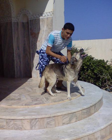C MOI ET REX