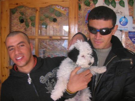 bobo goso